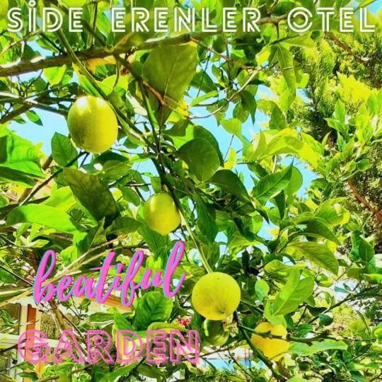 Side Erenler Hotel Exterior photo